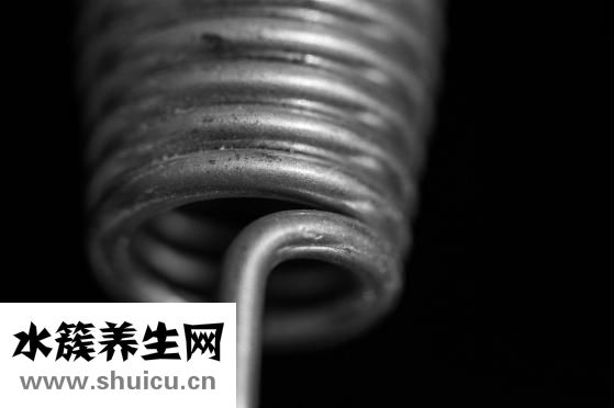 鱼胶是什么