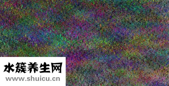 食材发热量排名出炉：白米饭豆桨燕麦片