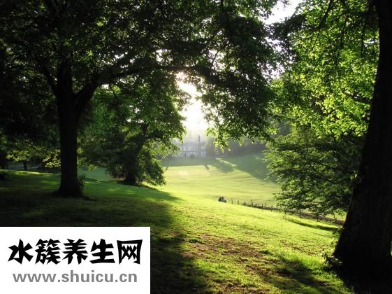 源义姜是什么