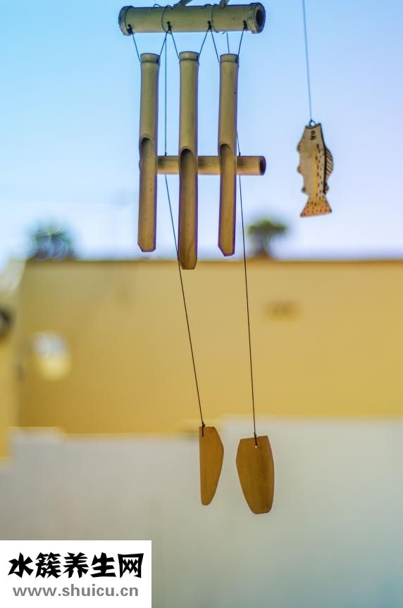 肠功能紊乱的症状