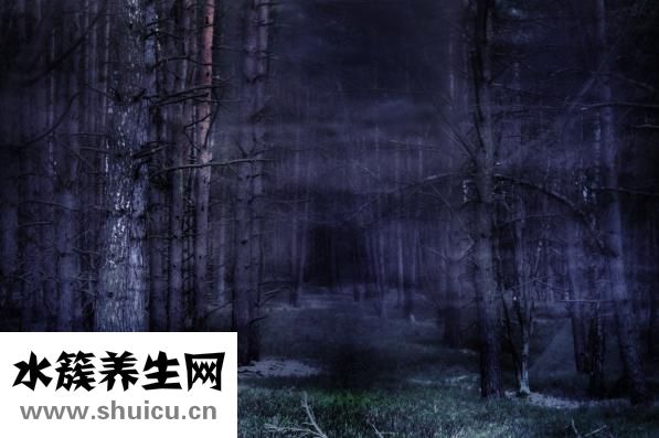 血友病遗传