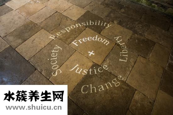 白芨的功效