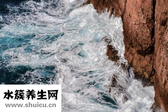 香芋西米露的做法