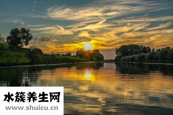 牙缝黑了怎么办