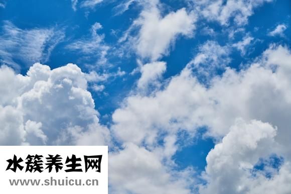 月子病偏方