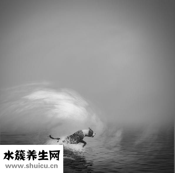 运动完头疼