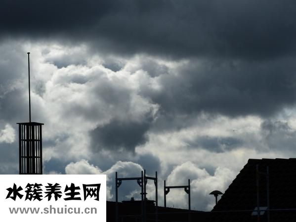 突触后抑制