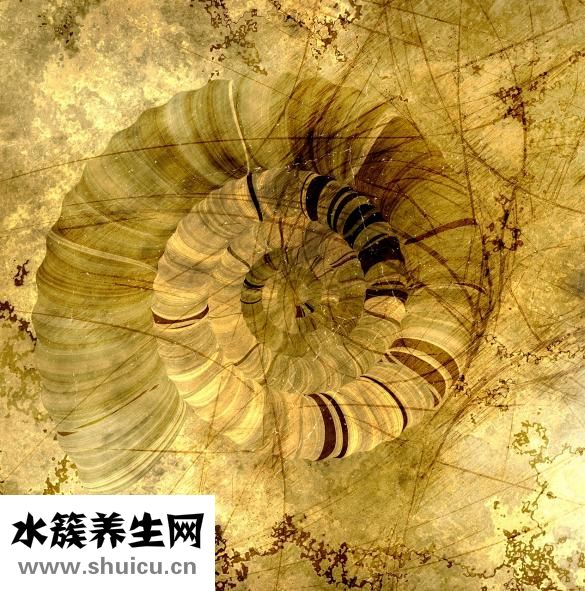 法令纹很深