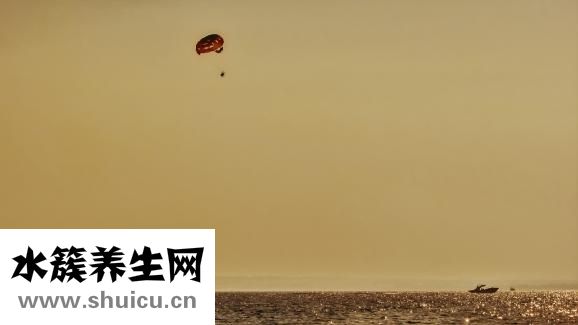 缩阴药哪种效果好