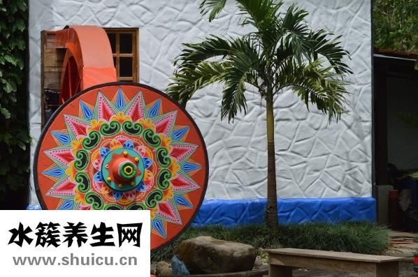 舌头下面有小疙瘩