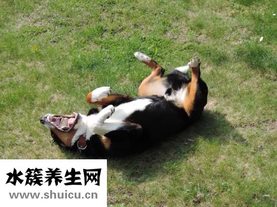 身上起皮屑怎么办