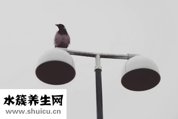 烫发需要多长时间