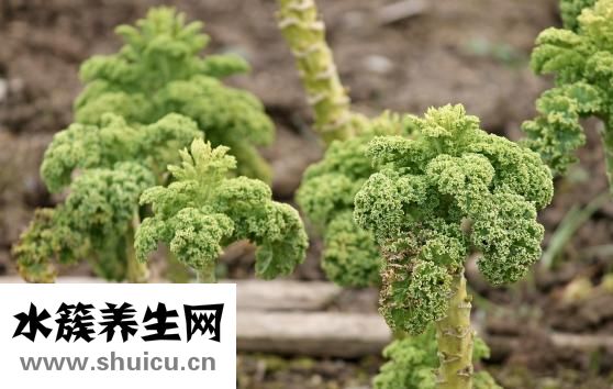 眼睛模糊怎么治疗