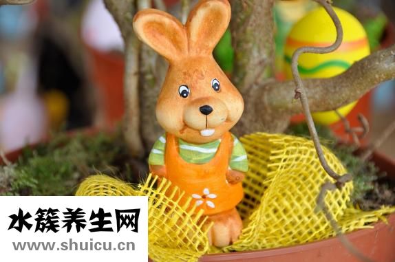 眼袋抽脂术