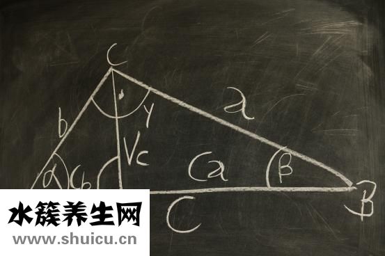腿长标准对照表