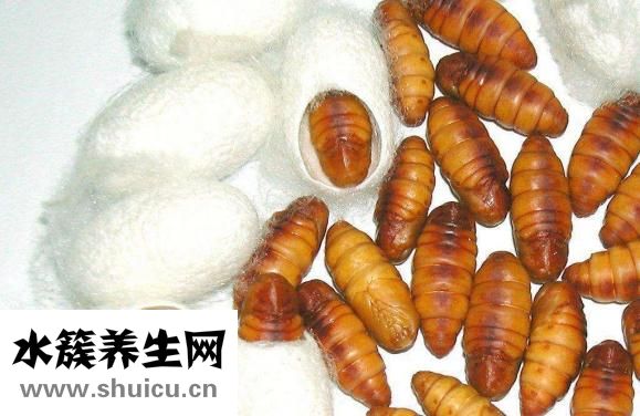 小蚕蛹怎么做好吃