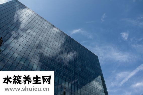 杨桃的吃法
