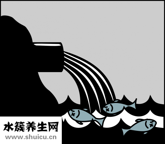 蓝莓能放多久
