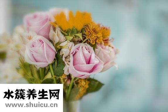 金鸡妇科凝胶