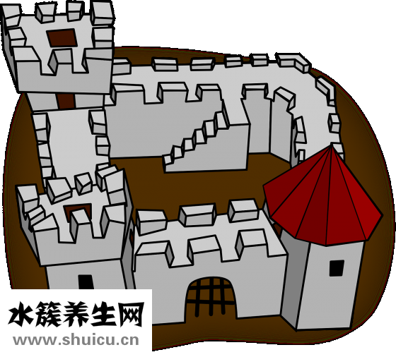 血旺是什么