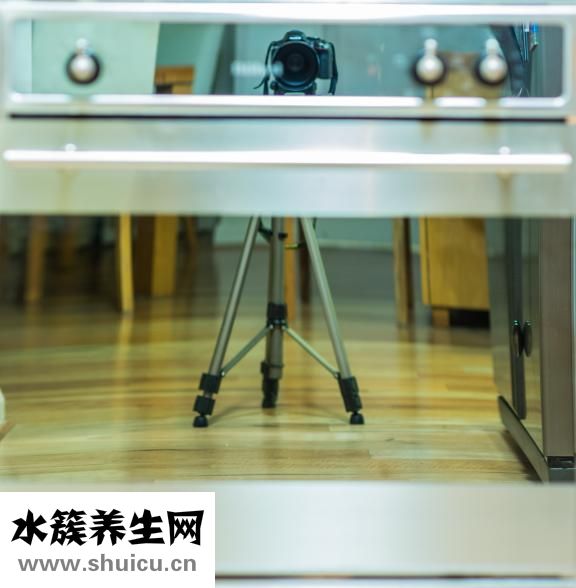 椰子可以放多久