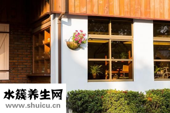 胃肠感冒吃什么