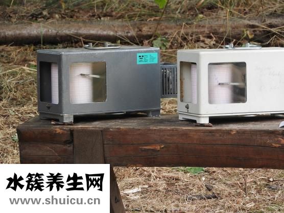 试纸晚上用准吗