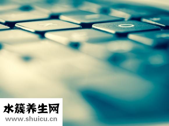消炎灵胶囊