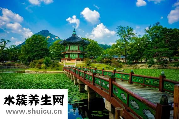 韩国小气泡