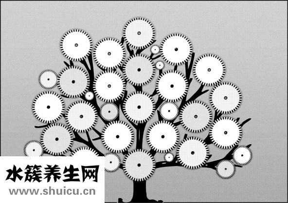 高血压的降压方法