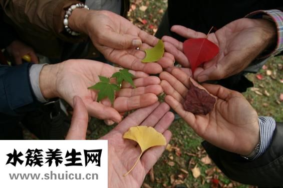 秋季减肥计划