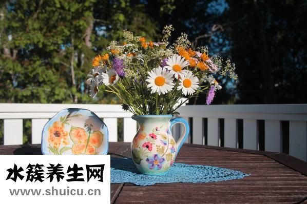 淮山和山药的区别