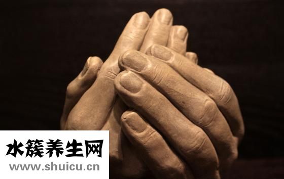 补血养生粥