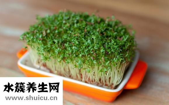 脾功能亢进