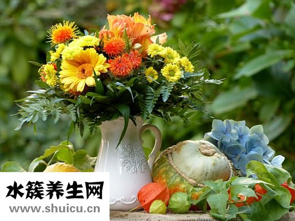 蛤蜊冬瓜汤