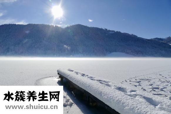 山药豆发芽能吃吗