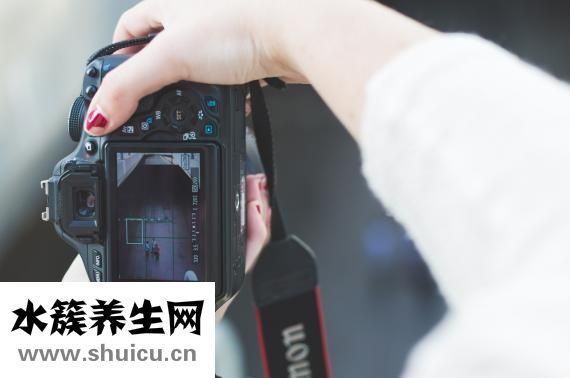西洋参喝的功效