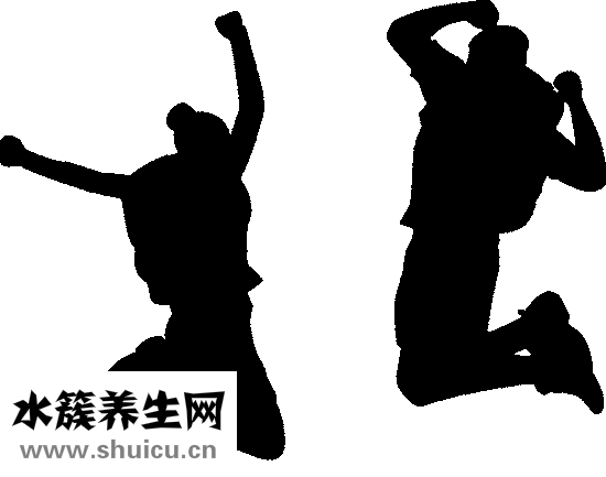 补血养生粥