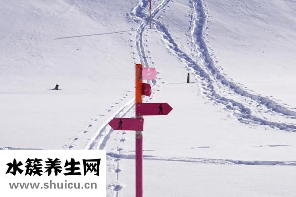 水蜜桃的功效与作用