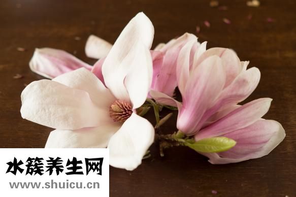香菇炖豆腐