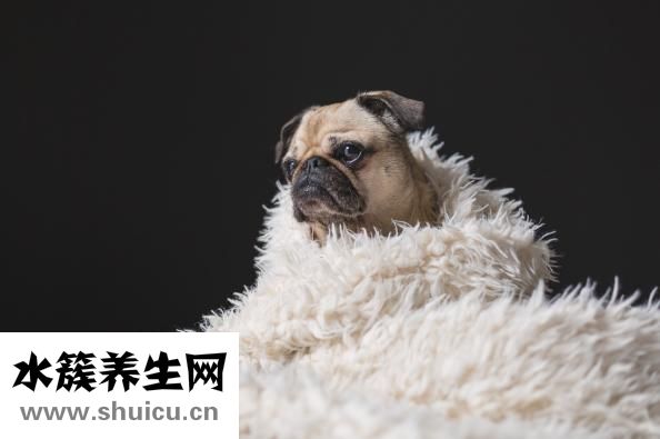 饿能减肥吗