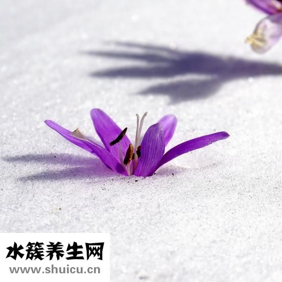 痛经的感觉