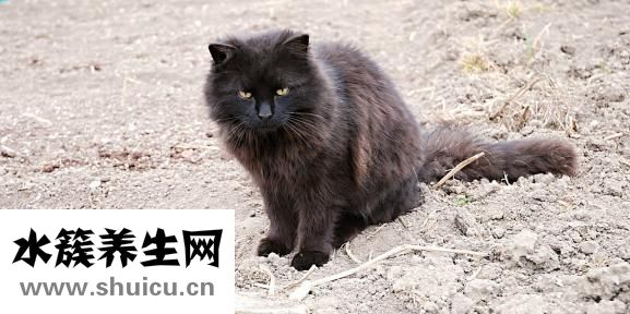 腋下有肿块