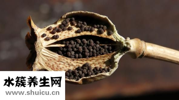 治咽炎的偏方