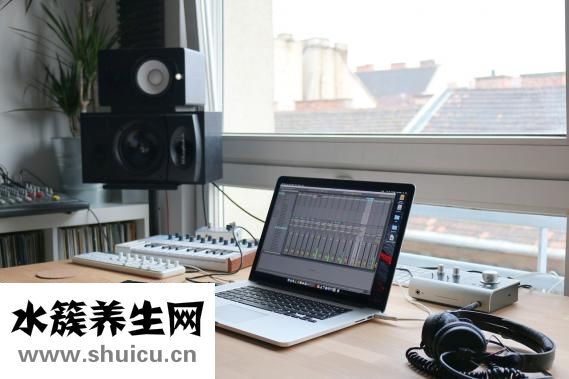 消炎灵胶囊