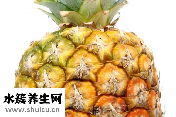 香砂养胃丸功效