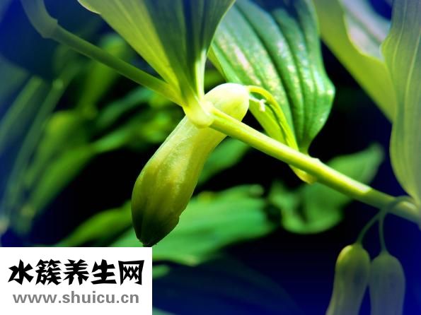 理气是什么意思