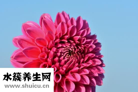 腹直肌分离自测