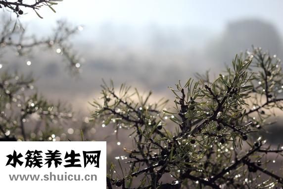 消化道造影