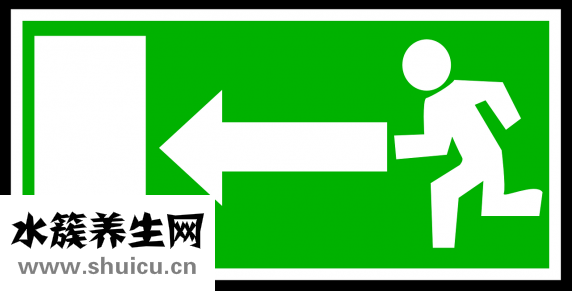 野山参价格